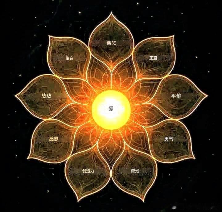 你不是他们的囚犯。你是他们代码里的小故障，从内部重写程序的光代码。… 