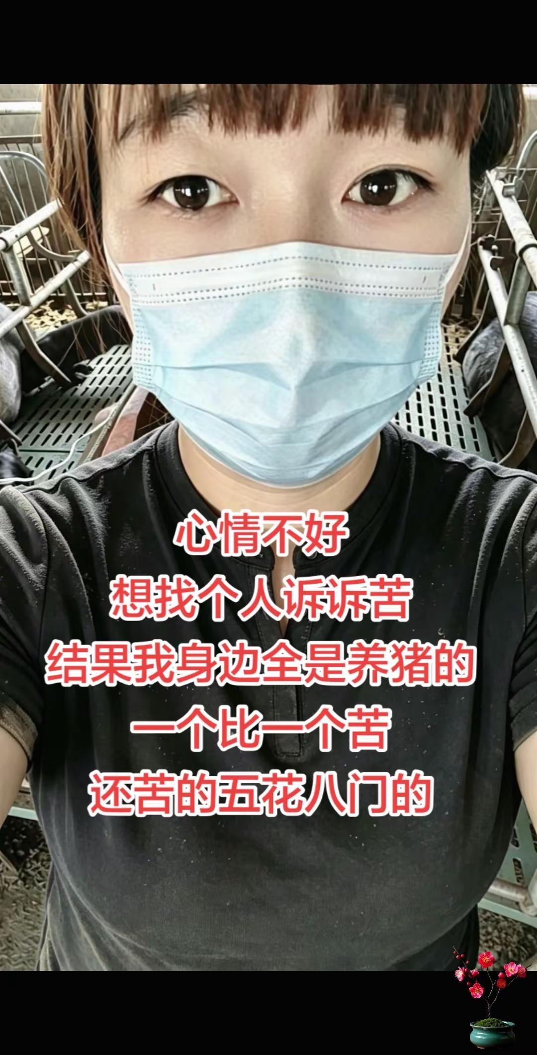 每天埋头苦干猪场的女人养猪人的心酸