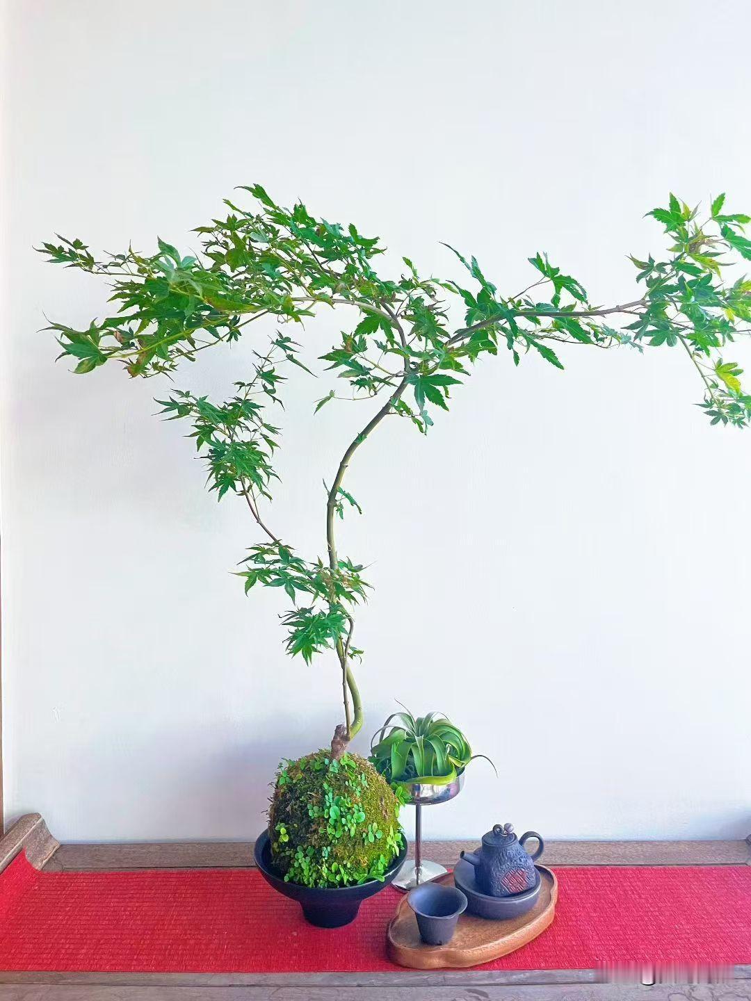 为什么现在越来越多的女性不想结婚?

说白了，传统的嫁娶模式消耗了女性的能量。