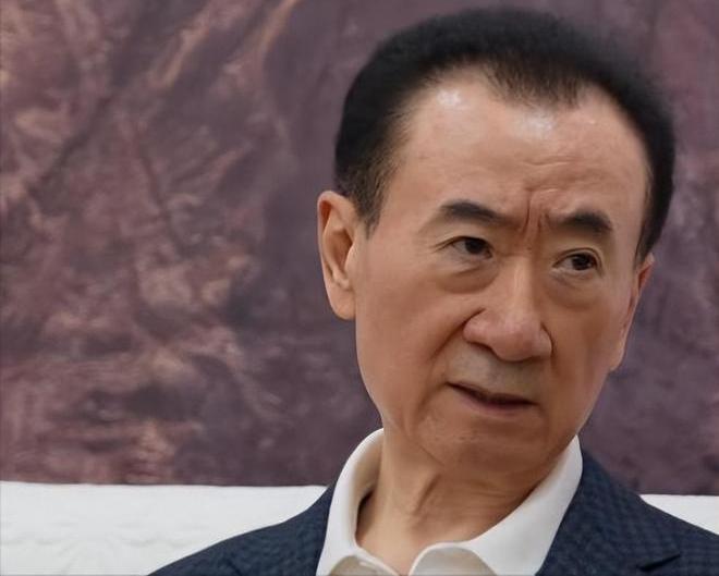 我问我姐：我有种强烈的预感王健林以后一个亿的小目标都搞不定，那我的饭碗也砸了。我