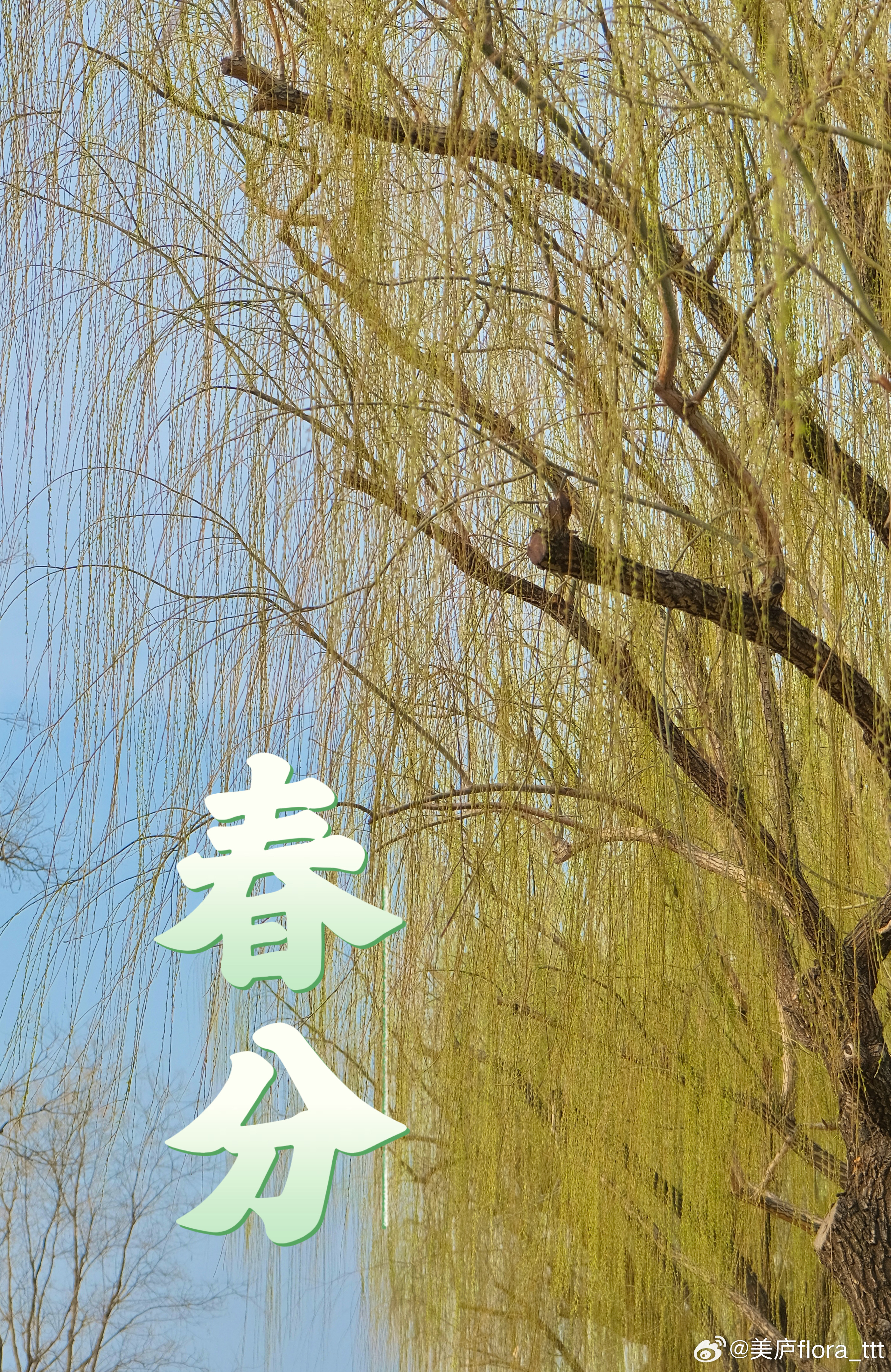 二月二 龙抬头 二月二遇上春分19年一遇天津人有二月二吃焖子的传统焖子有绿豆粉的