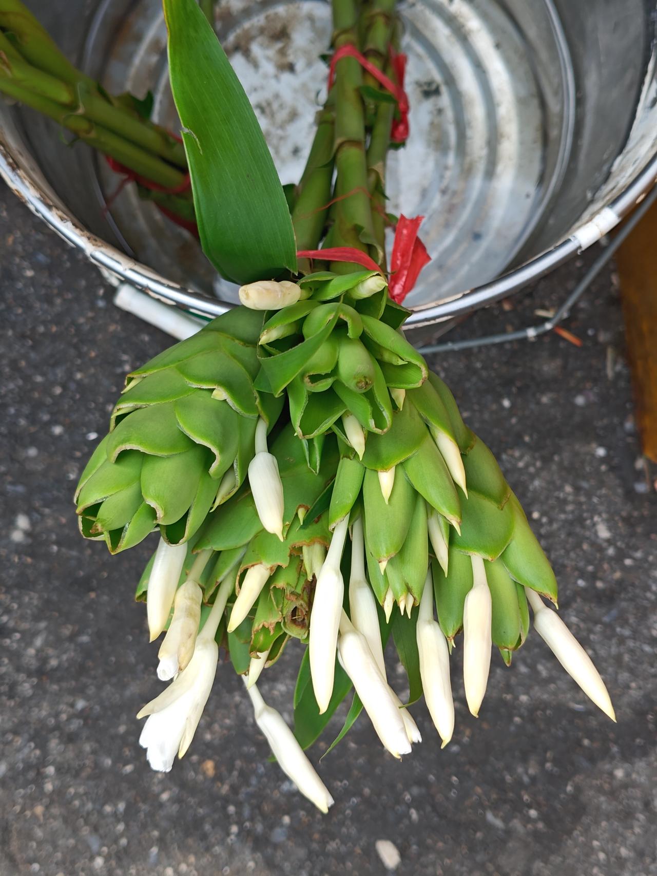 广州早市随拍：
1.姜花5元一扎，
2.柿子5元/斤，
3.连州鹰嘴桃，形态不佳