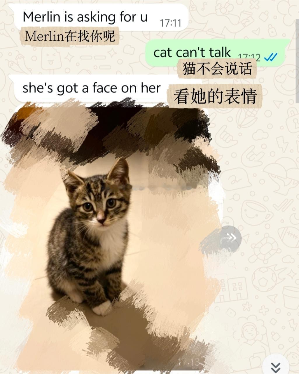 21817【接20725】和xxg在公司附近手慢无了一只🐱之后此男就开始叫我m