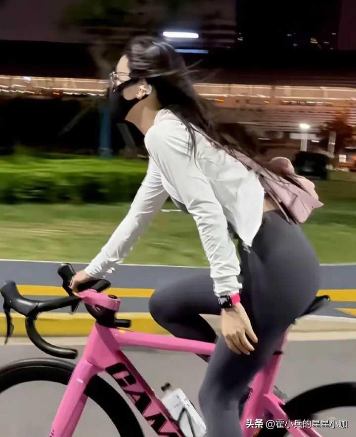 天南地北大拜年