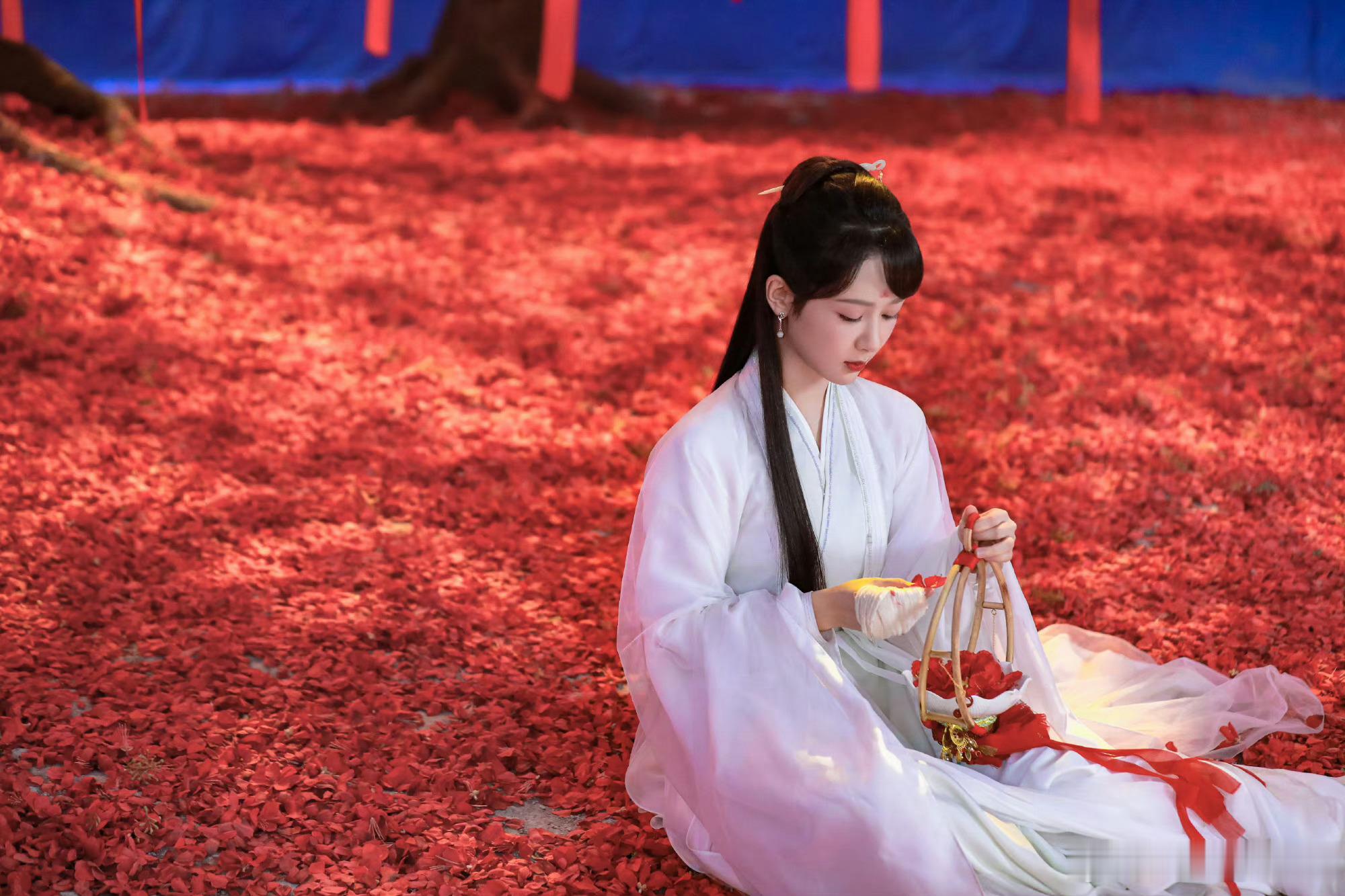 杨紫 💜长相思 💜长相思第一季播出三周年 大荒之大无可依，命运多舛爱不得，相