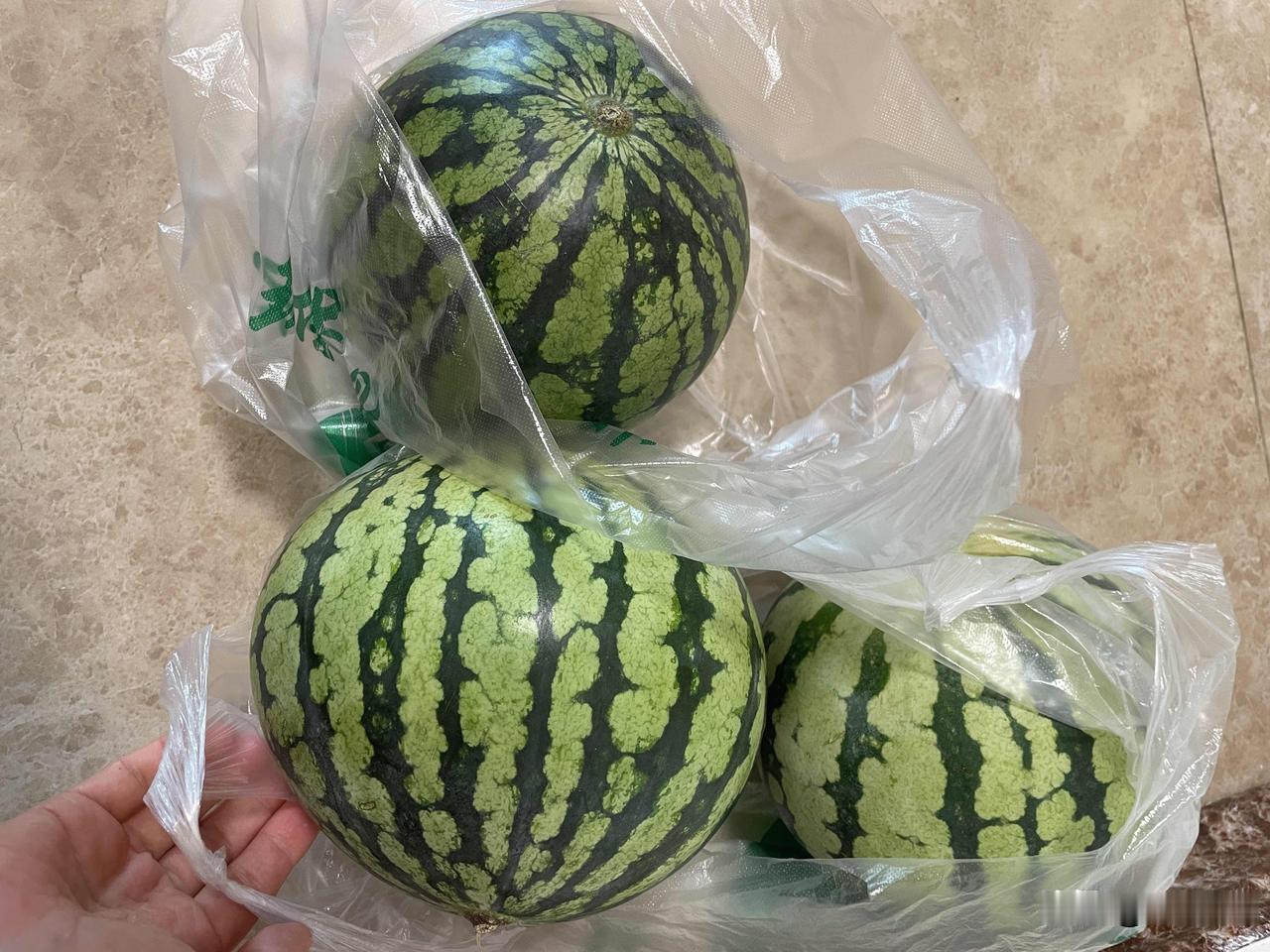 郑州，西瓜3毛一斤是真的，刚刚我5元买仨。

一个西瓜车前摆一个纸板，上面写着3