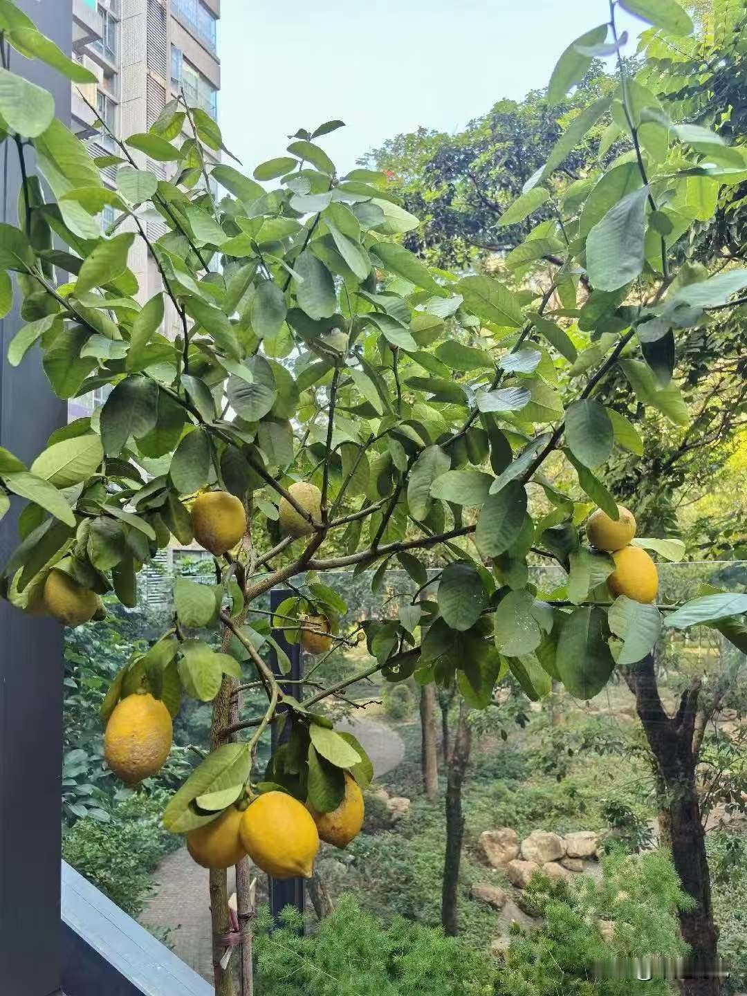 为我的真诚创作点赞！ 👍❤️🔥你也快来发布一条吧！带