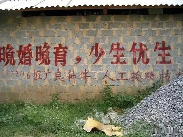 机遇×努力=成功
机遇包括:富爹、贵爹、富干爹、贵干爹、富亲戚、贵亲戚