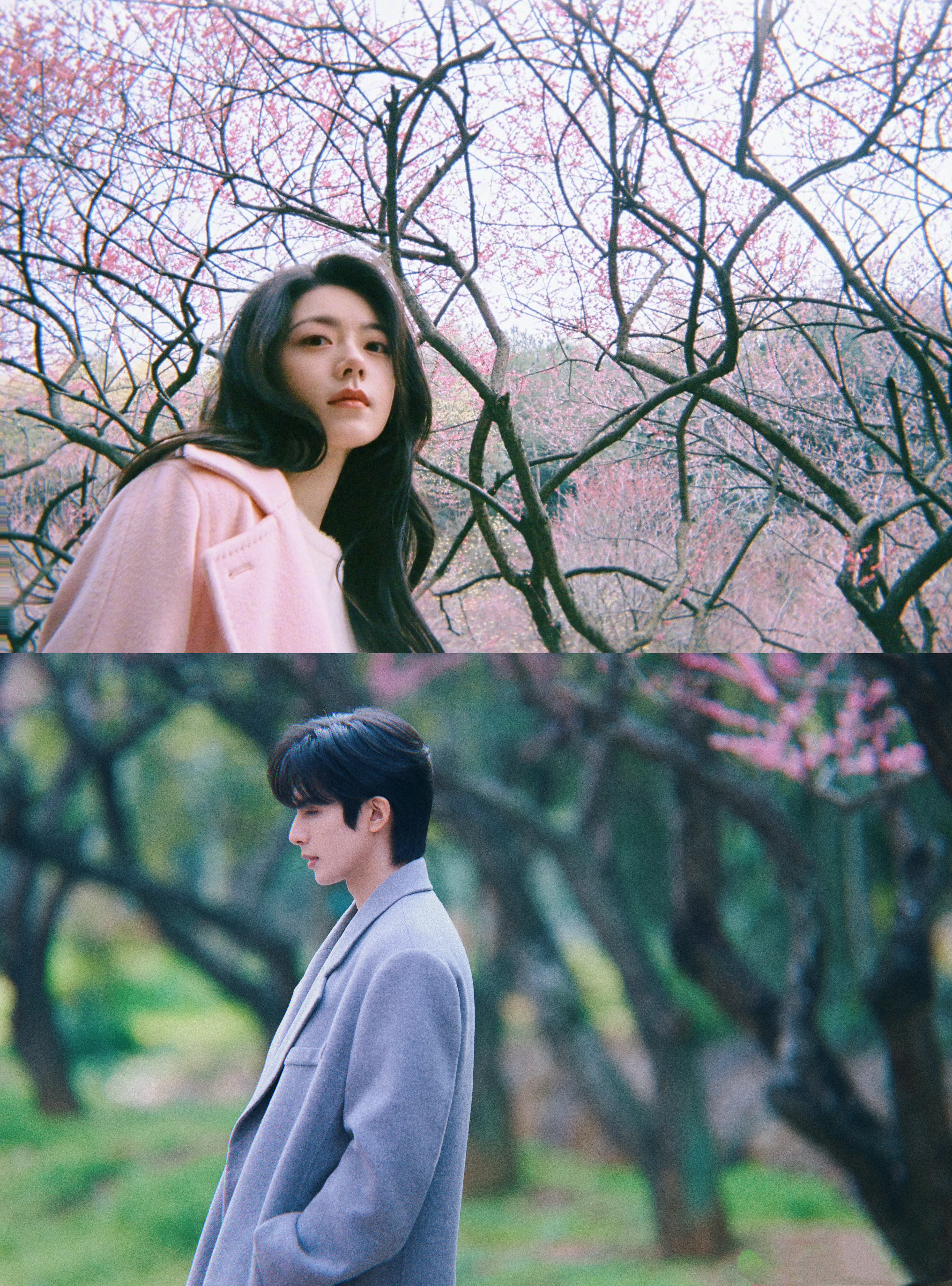 林屿森：我从来都是，为你而来。骄阳似我 聂曦光：你要不要和我在一起？林屿森：要！