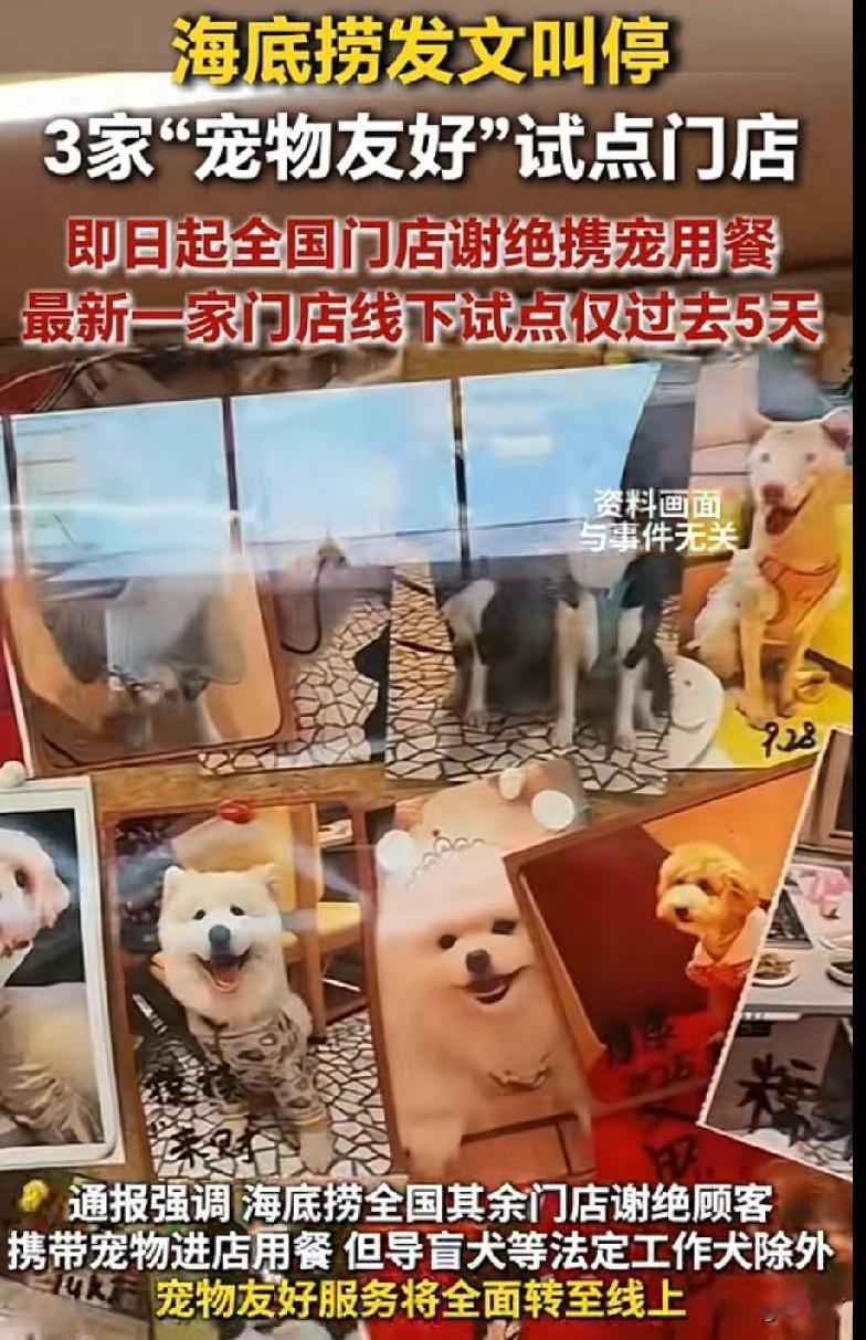 海底捞究竟是要干嘛啊？一会儿说让狗进，一会儿说不让进了，彻底把我们给整懵了！
