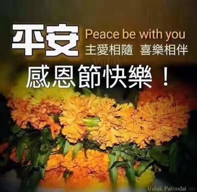 感恩节快乐！