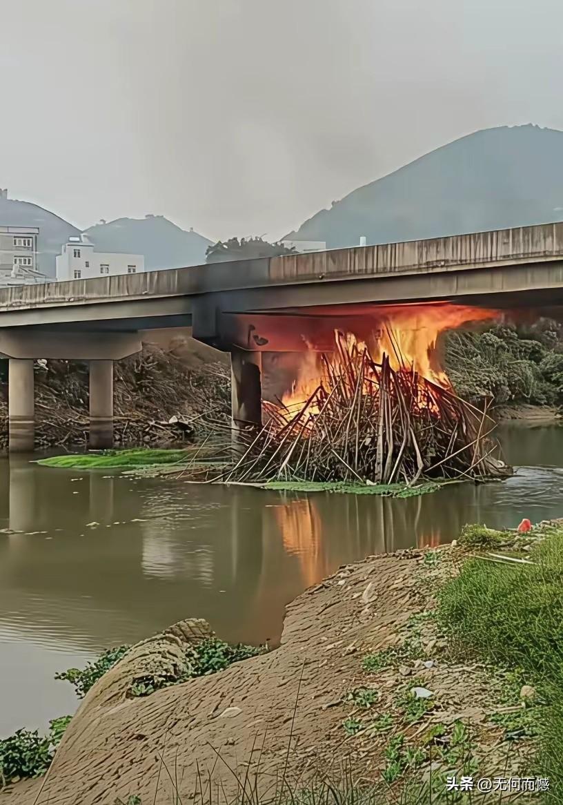 桥底下点火，危害太大了，应该给肇事者绳之以法！桥梁都是钢筋水泥结构，在桥底下点起