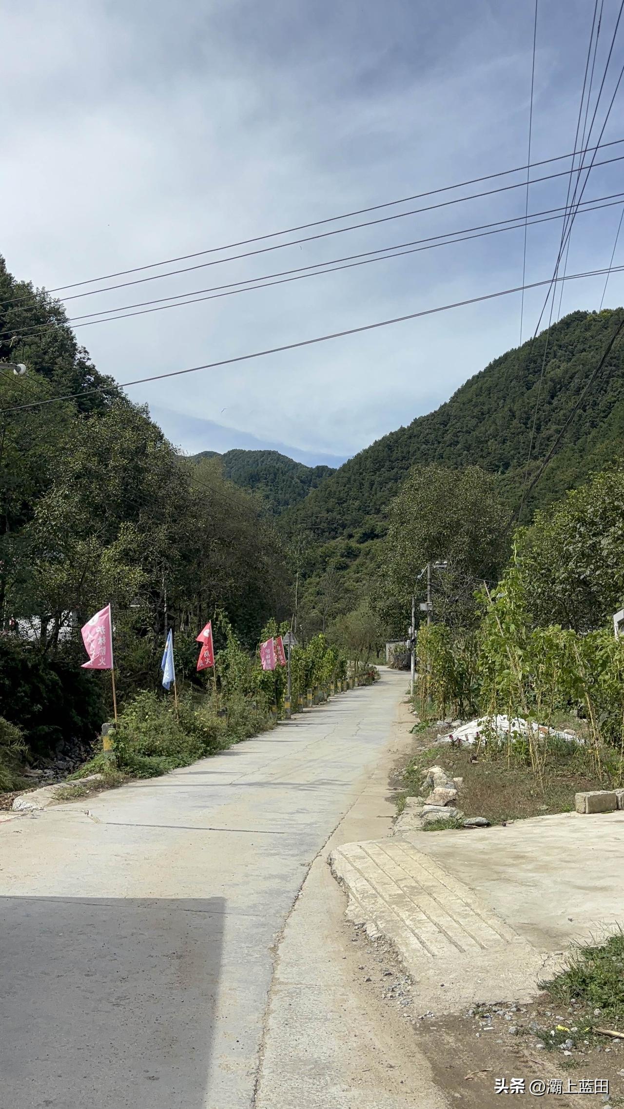 商洛313省道秦岭口这地方，往北这条小路，就是林葛路，直走翻山就到葛牌镇了。就是