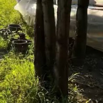 每日一善阳光信用 每日一善 还我椰椰卷 0000人，纵有万千的道路可以抵达人生的