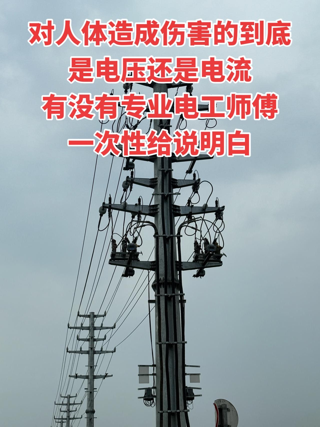 对人体造成伤害的到底是电压还是电流，有没有专业电工师傅一次性给说明白点？电工