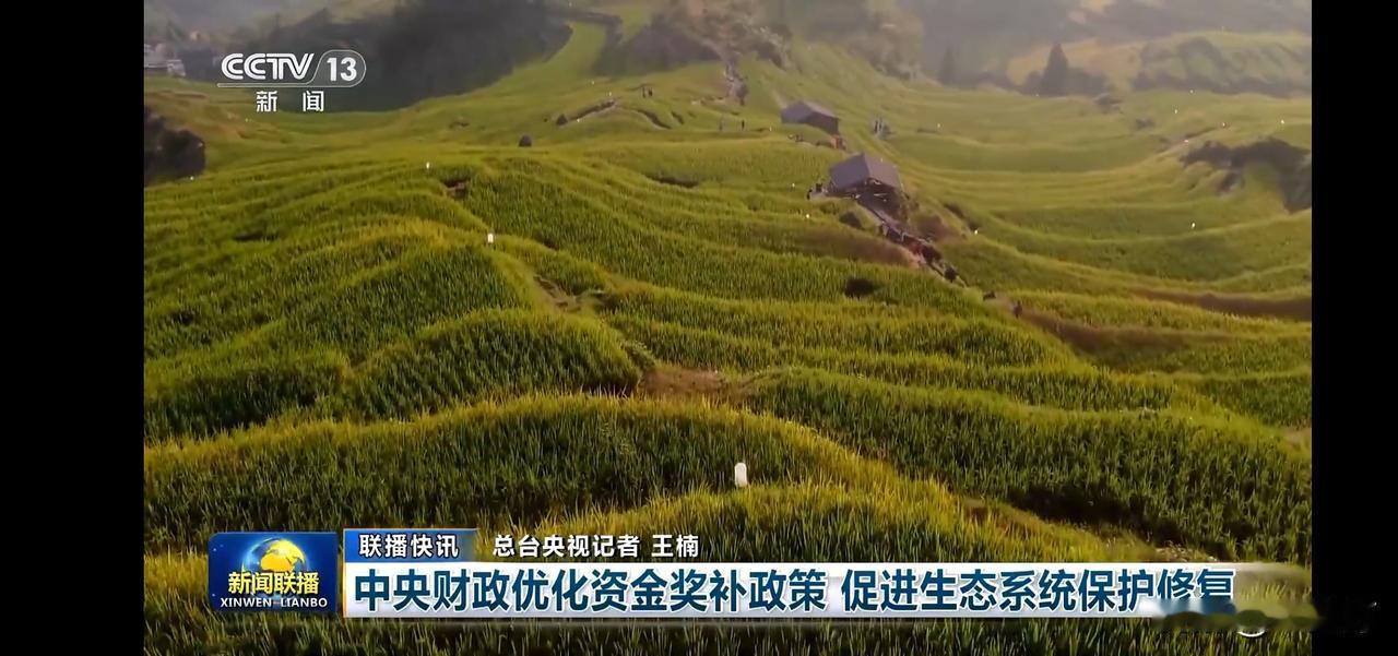 “绿意盎然，生态修复，守护每一寸土地”🌿🌱
历史遗留废弃矿山生态修复项目没个