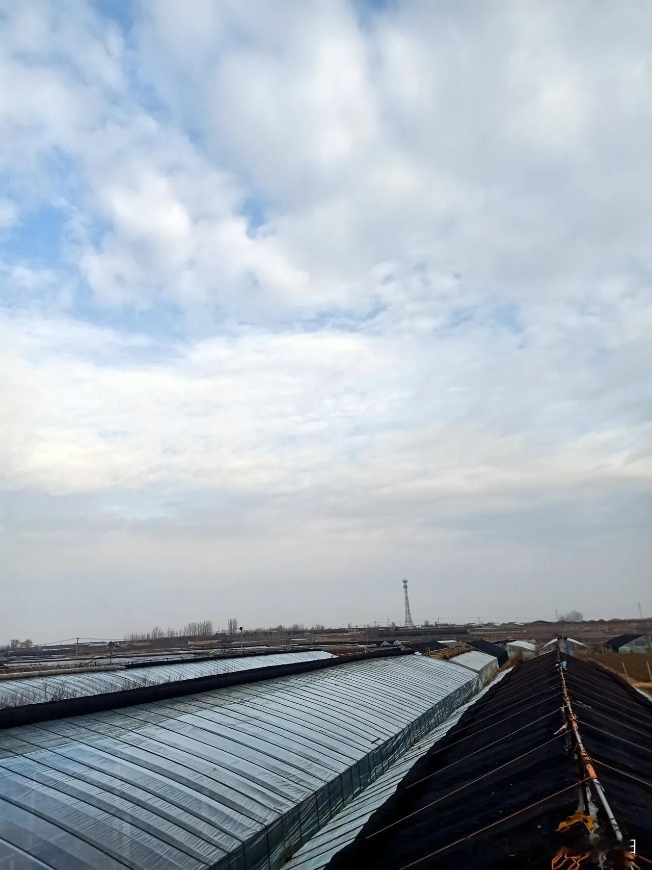 希望2026年大棚油桃硕果累累，油桃卖个好价钱！[呲牙][祈祷][祈祷][祈祷]