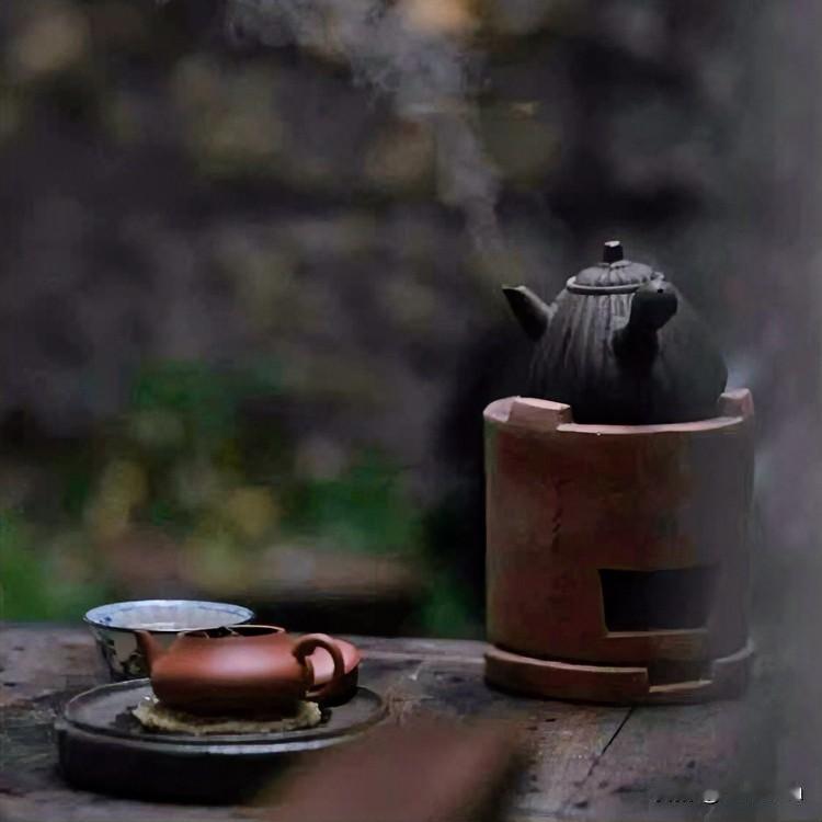 普洱茶真的是时间越久越好喝吗?

花开在杯沿，茶意在指尖。
寻常日子，也能泡出诗