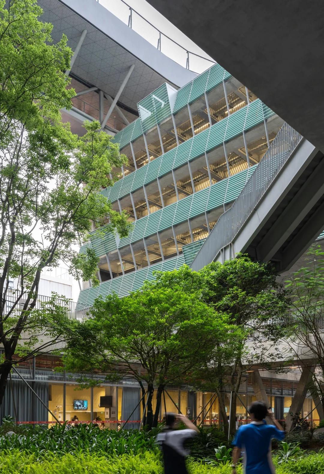 绿野仙踪——深圳美术学校
我们在红岭实验小学和红岭中学新艺体中心两个位于福田新建