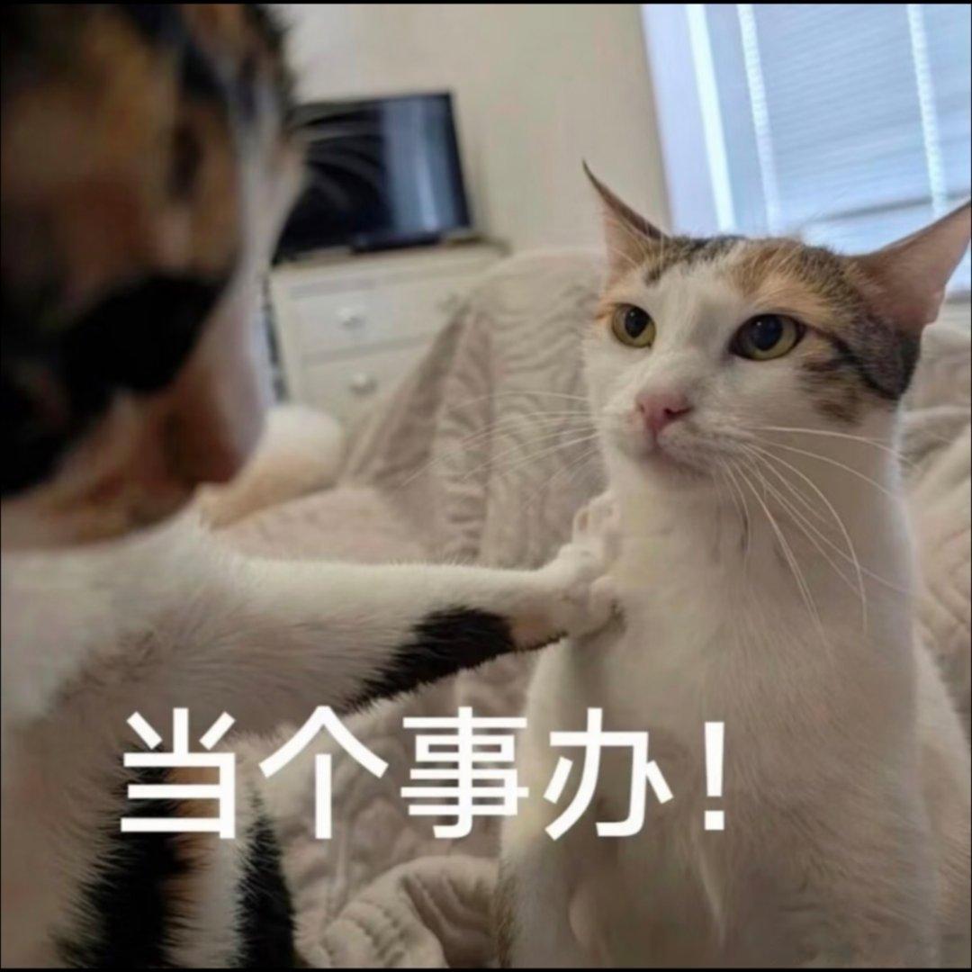 表情包分享 ​​​