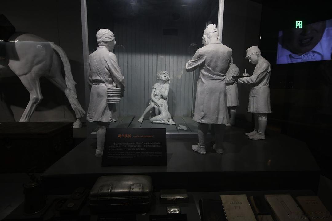 “编号485，他不是实验品，他是人。在731部队的档案里，他被灌毒、滴眼、接种，