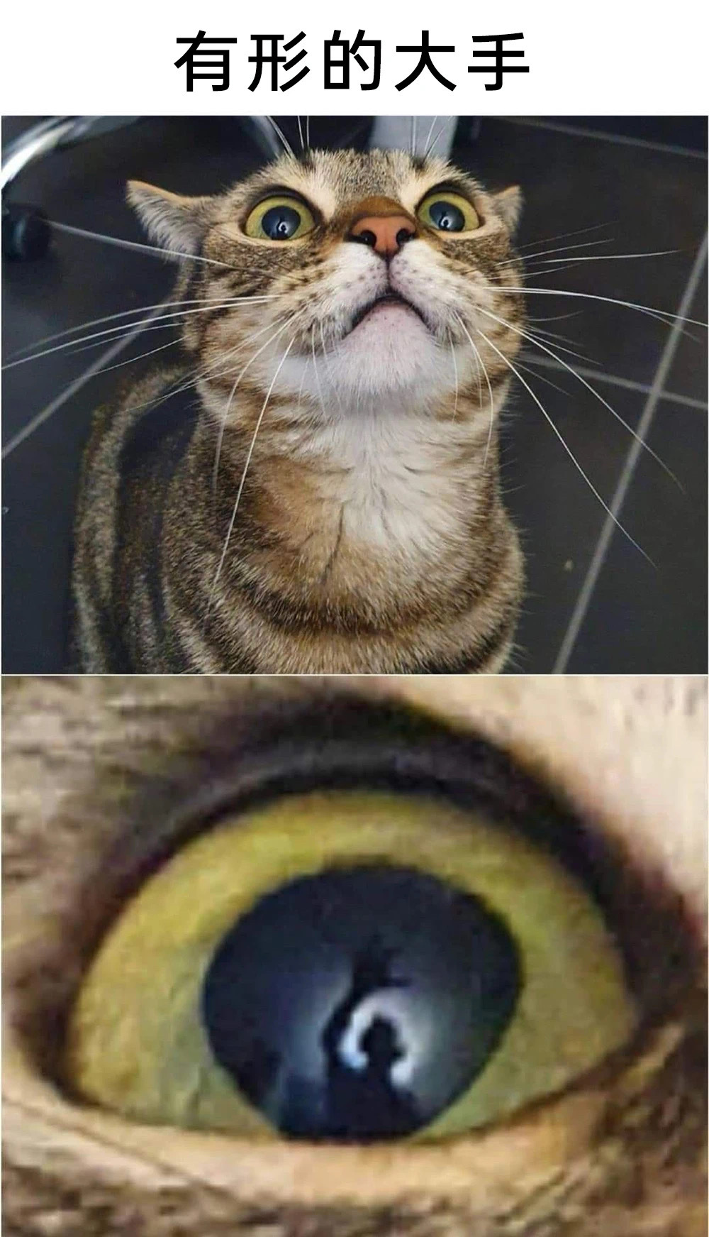 是巨人 ​​​