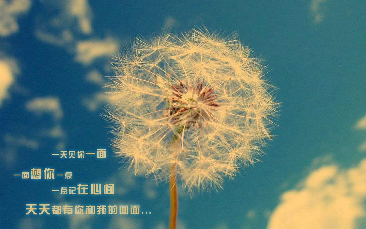 今天咱们就这是一段令人心碎又难以忘怀的爱情终章，就像冬天里的雪，一开始纯白纯净，