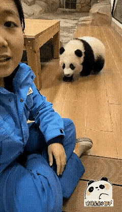 和饲养员撒娇卖萌啊