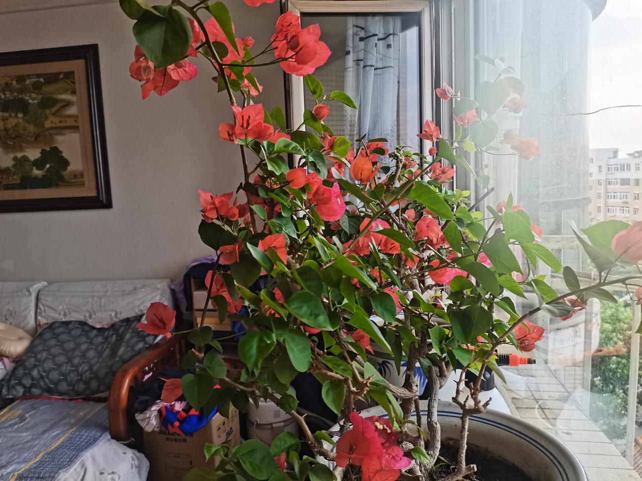 我认为不是。
    人的一生离不开钱，但不能为钱的活着。金钱能给人们带来物质上