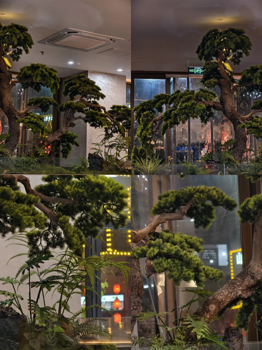 室内迎客松造景｜把山水意境搬进店里🌿
