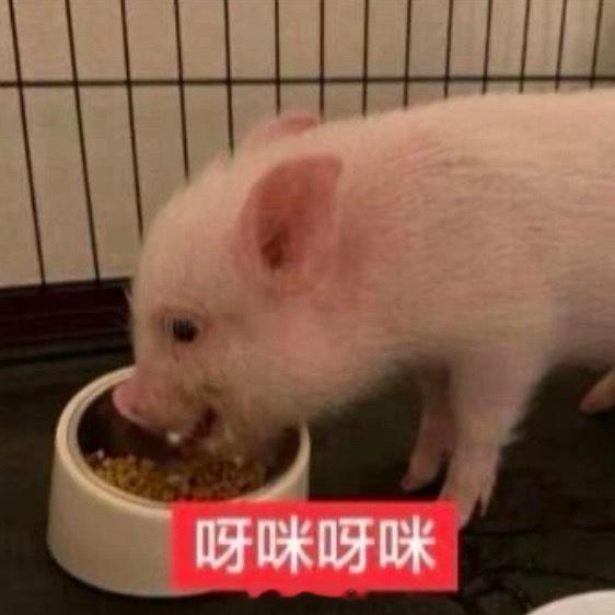 暴力清场开始p我的三组照片 