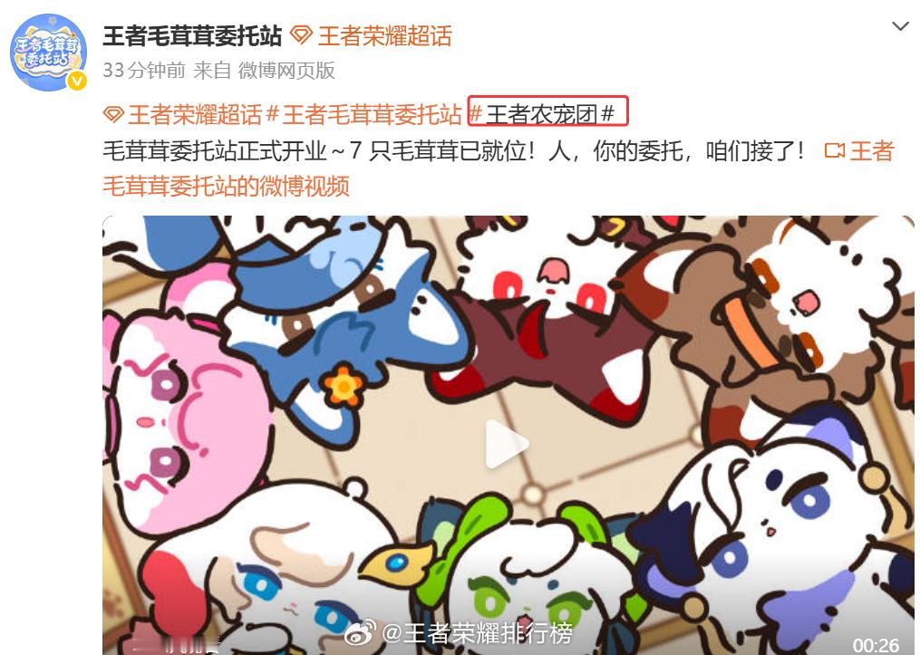 王者毛茸茸委托站王者农宠团小王农宠团来了 