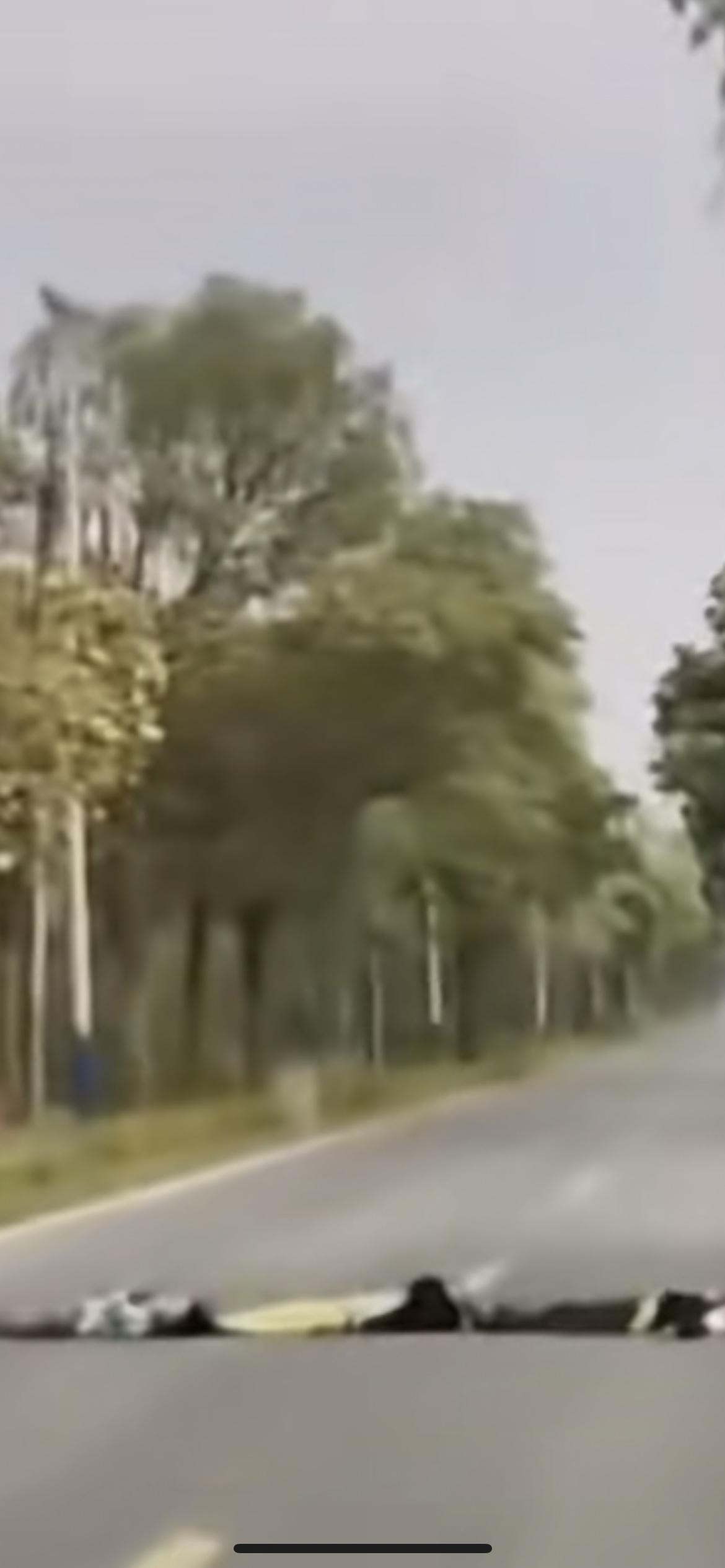 3月8日广东清远，一脚刹车避免悲剧，四个熊孩子躺在路中间，司机以为是塑料袋，他媳