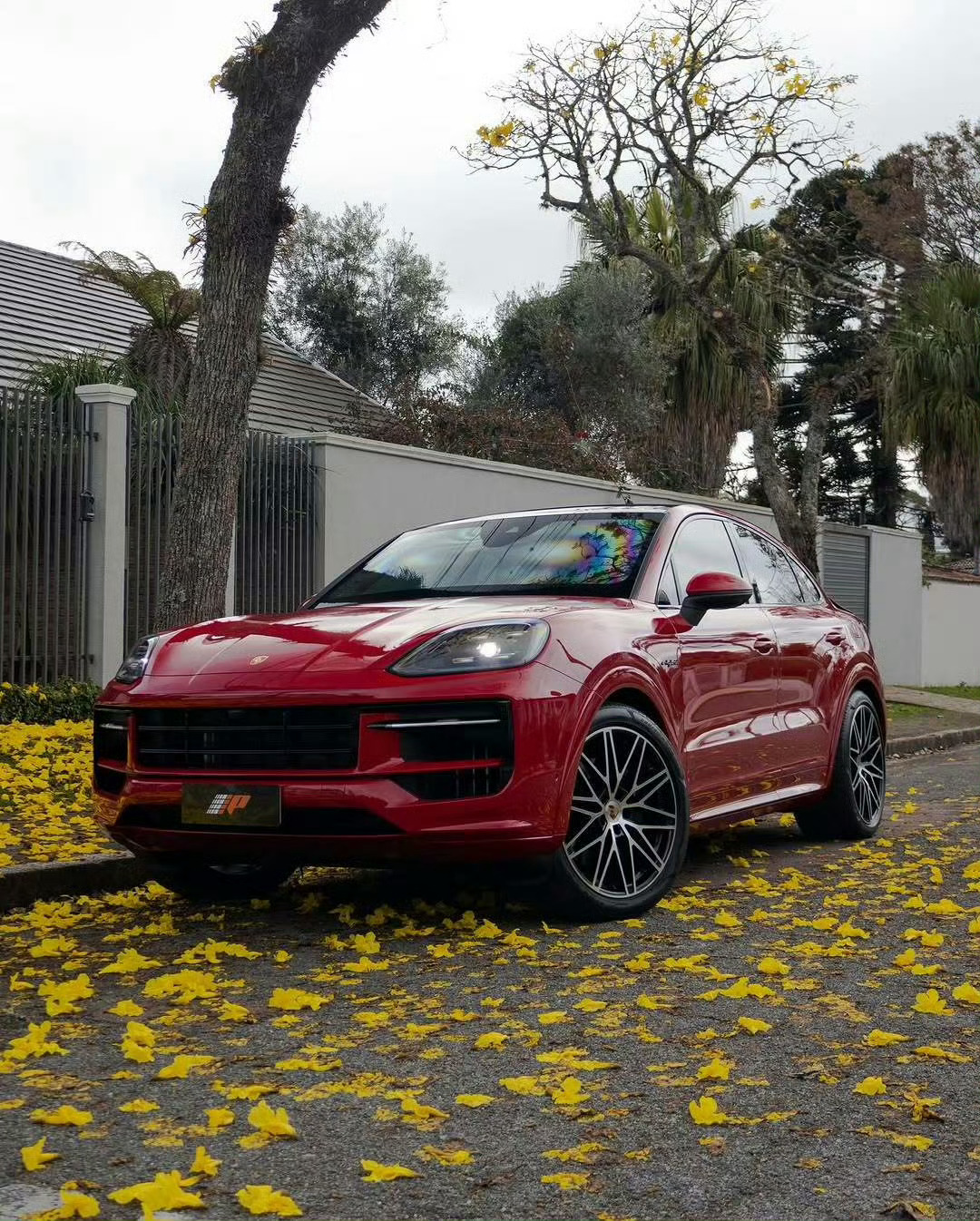 Porsche Cayenne Coupe 灵活的小胖子 ​​​