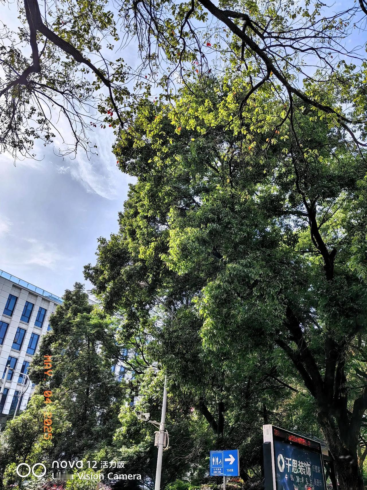 晒图笔记大赛今天拍城市的天空！城市的天空没有农村的天空美，城市的天空工厂建设多，