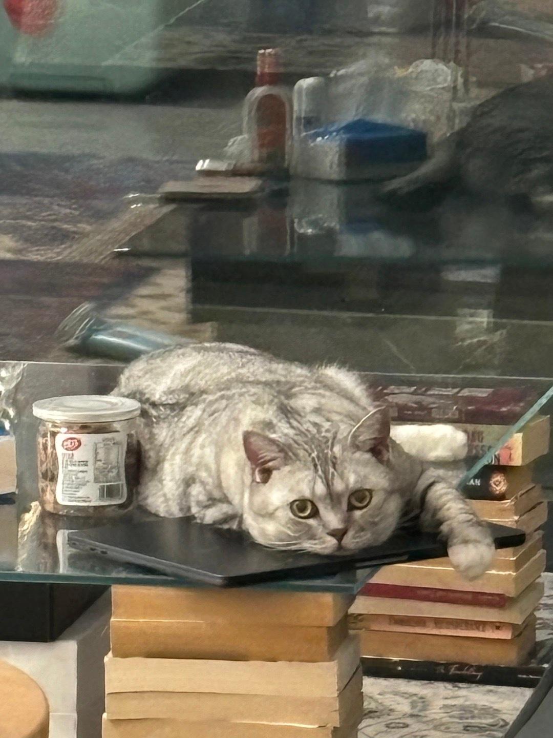 分享图片 ​​​