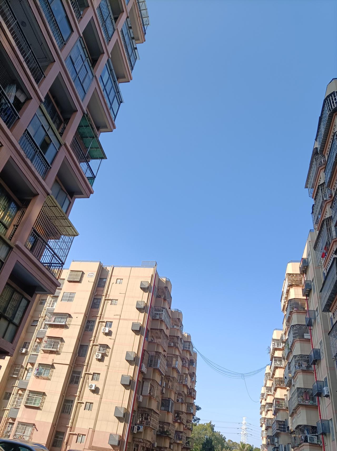 今日随手拍今日深圳又是蓝天白云，气温也回升了，深圳的天气太好了！