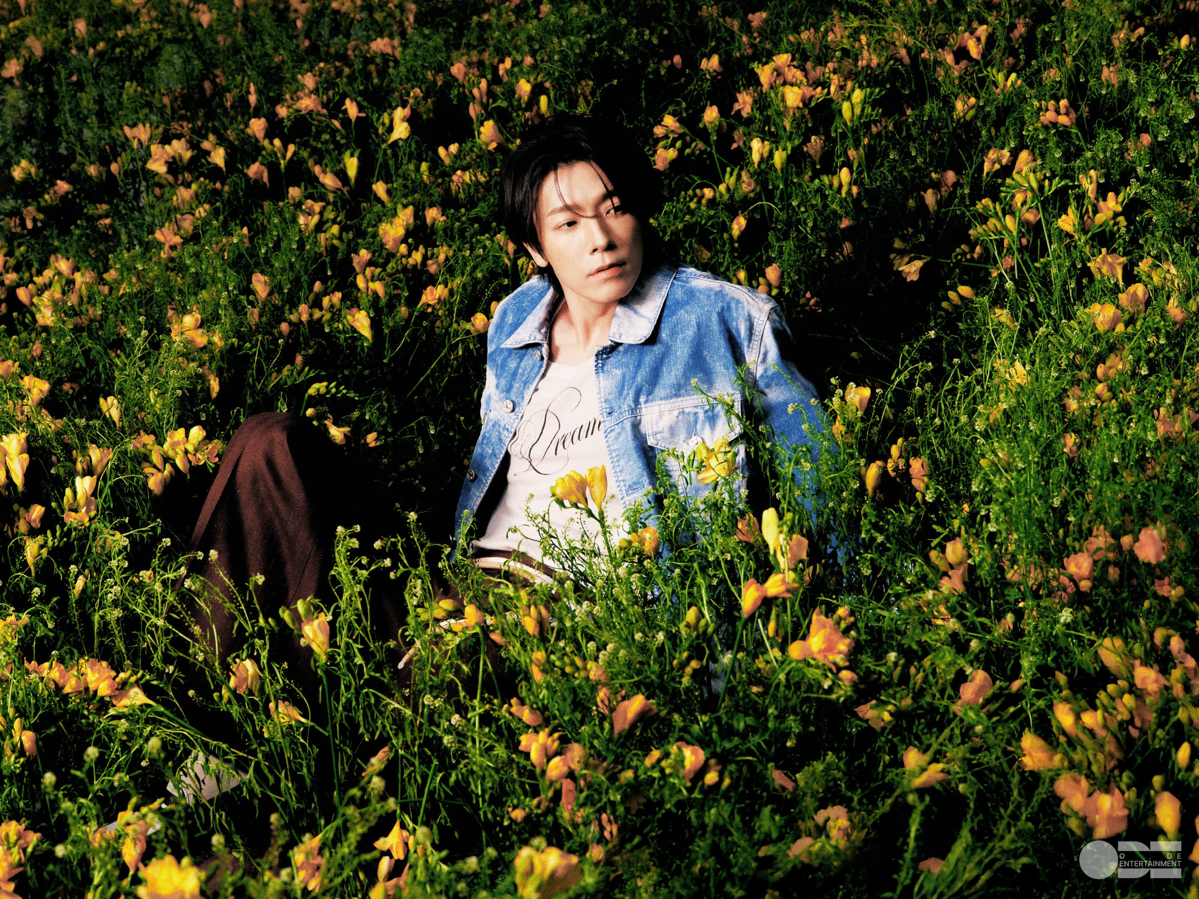 “CB百蓝_。260407 D&E official更新李东海 相关：DONGH