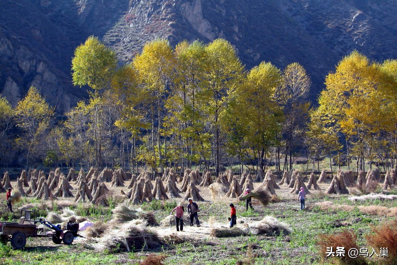 大山深处的自然山水美景分享山里的收获。