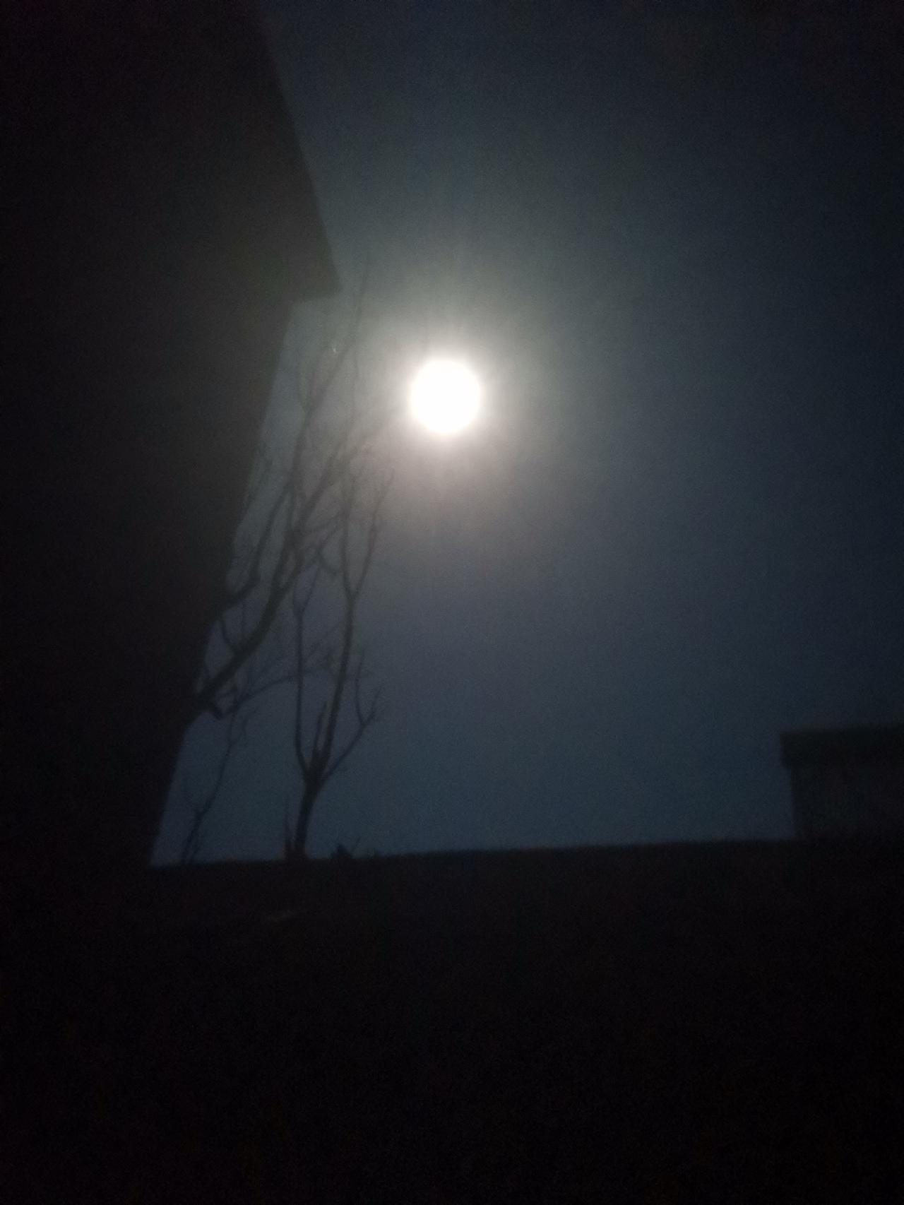 我们这里也好久没有下雨，别处下雨，我们这里只刮一阵风。
这两天我们这里一直刮风，