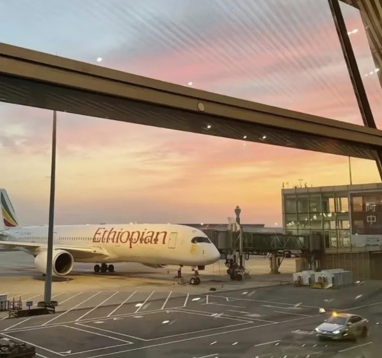 亲姑去世，有必要回去吗