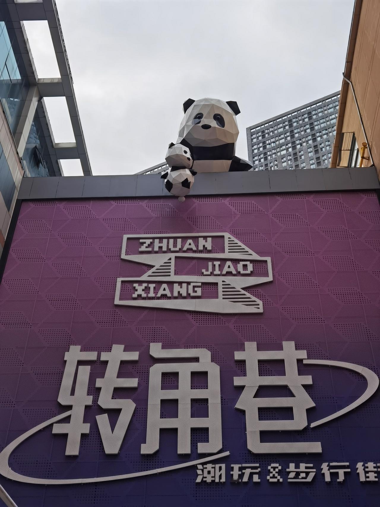 呼和浩特的转角巷太小了吧，感觉没有网上介绍的240米长。

去呼和浩特玩 ，特意