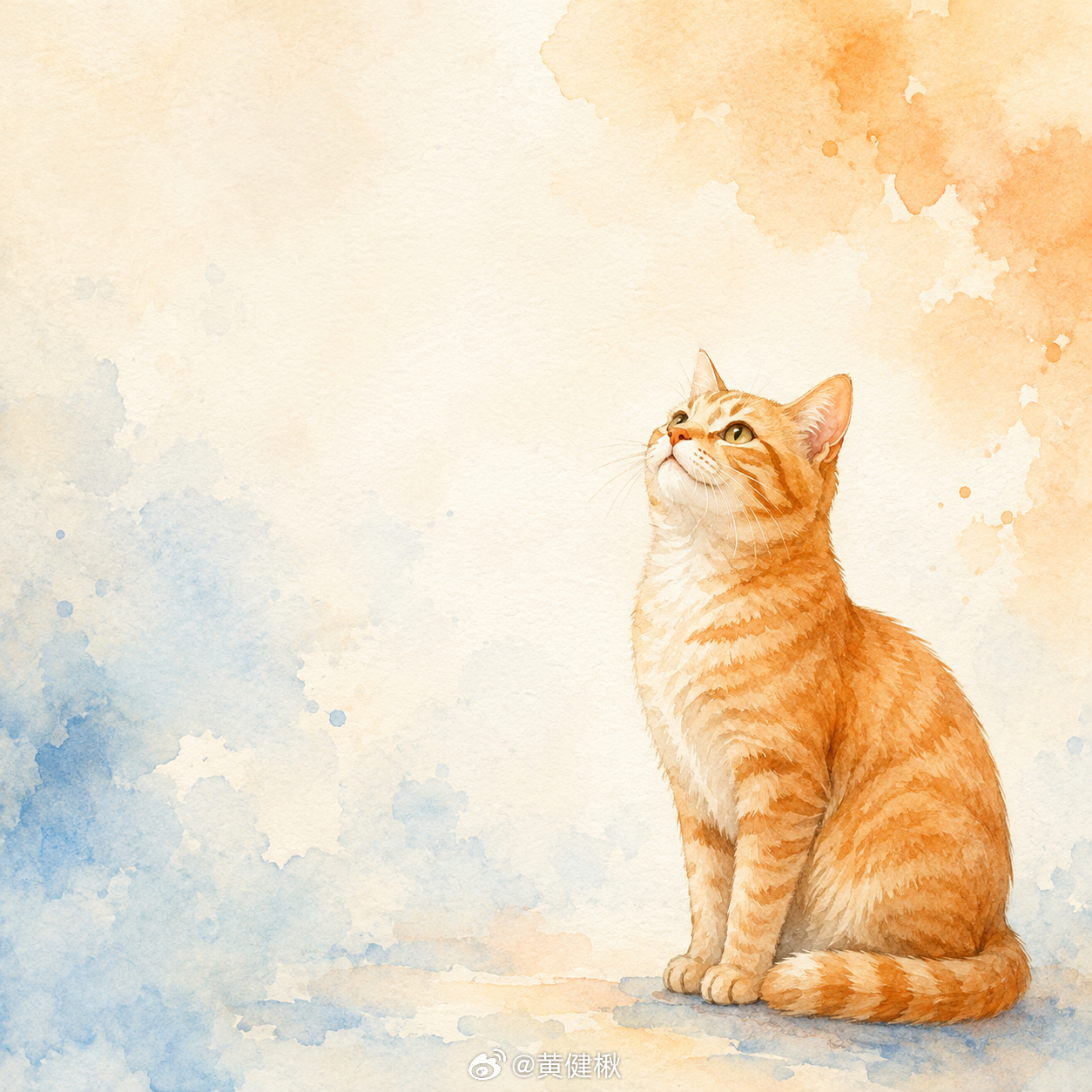 来点猫片How I AI