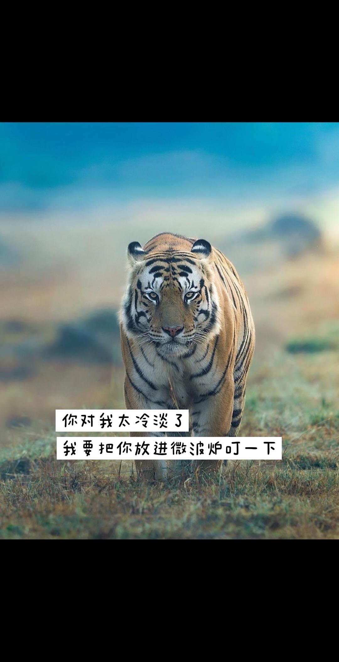 抖音玩法合伙人计划 创意文案玩法集