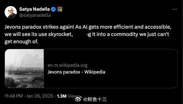 DeepSeek将接入微软AI电脑 微软 CEO 纳德拉（Satya Nadel