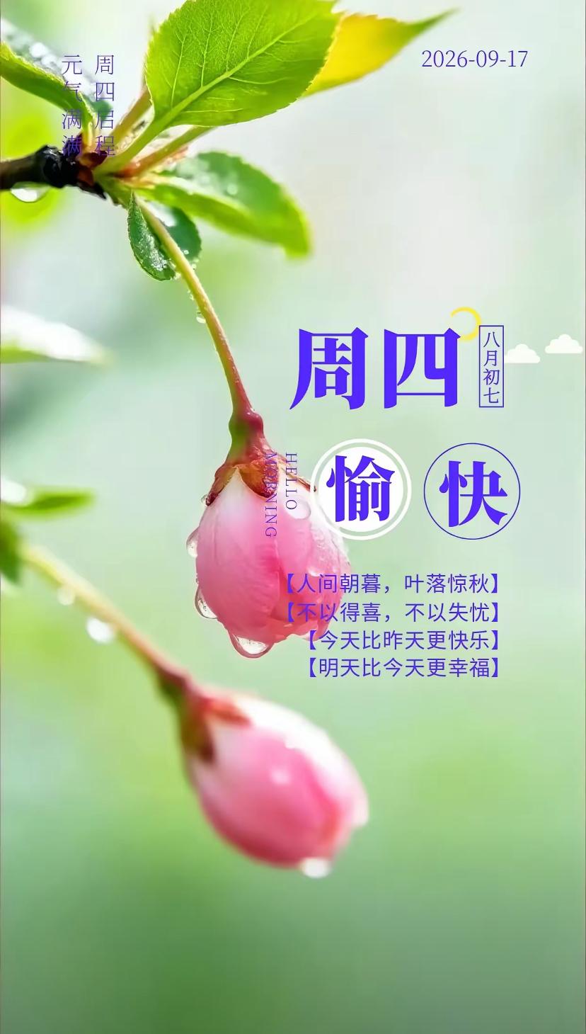 秋晨寄语，秋风轻拂寻常生活，一份惦念寄心间。
2026./09.17.
[微风]