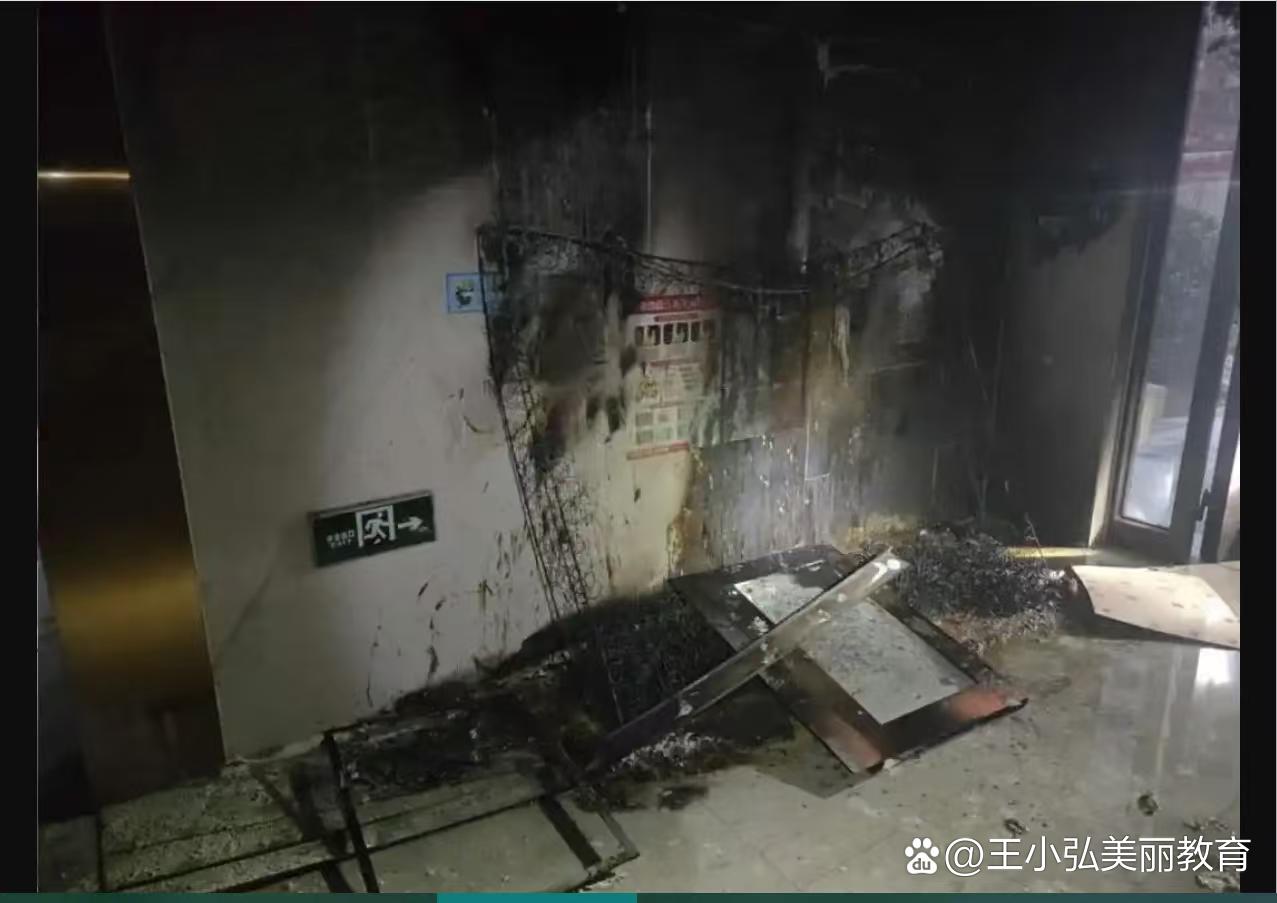 不要贴熊孩子的标签吧。家长教育上忽略了一些细节，结果孩子好奇闯了祸，拿打火机点燃