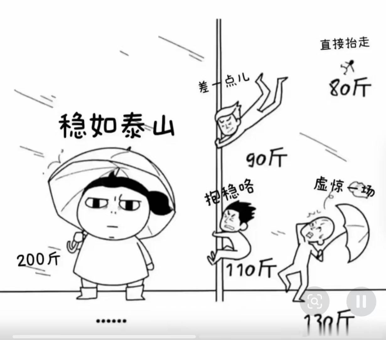 关键时刻，多肉也是有好处的……A股台风