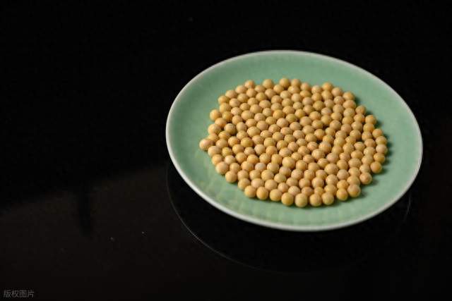国产大豆（豆一）近期大涨核心逻辑