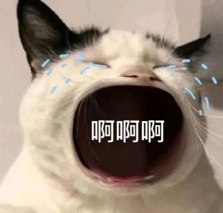 希尔德 你今天过关了 今天谁再骂你 绝不答应  这几分得的 看的我这是老泪纵横啊